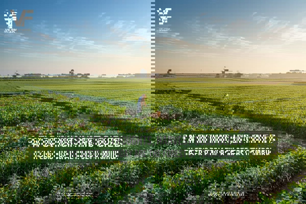 Plot For Sale in Knowledge Park II Greater Noida