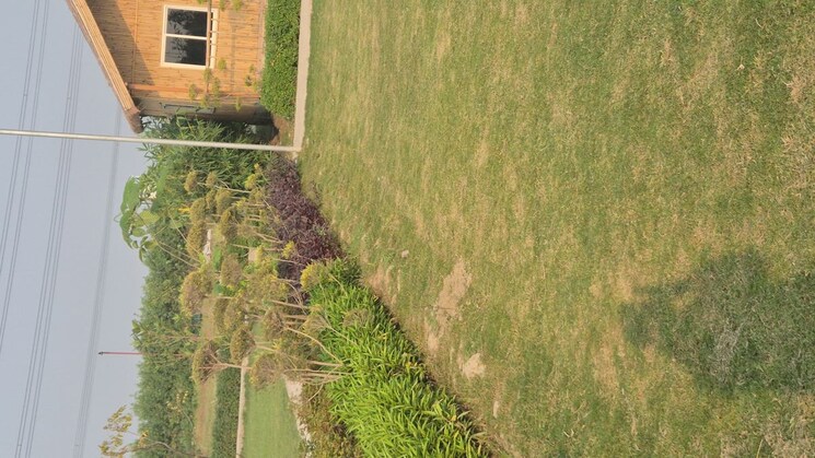 Garden, knowledge park ii greater noida  955 Sq.Ft. Plot In Knowledge Park Ii Greater Noida Greater Noida 9827132