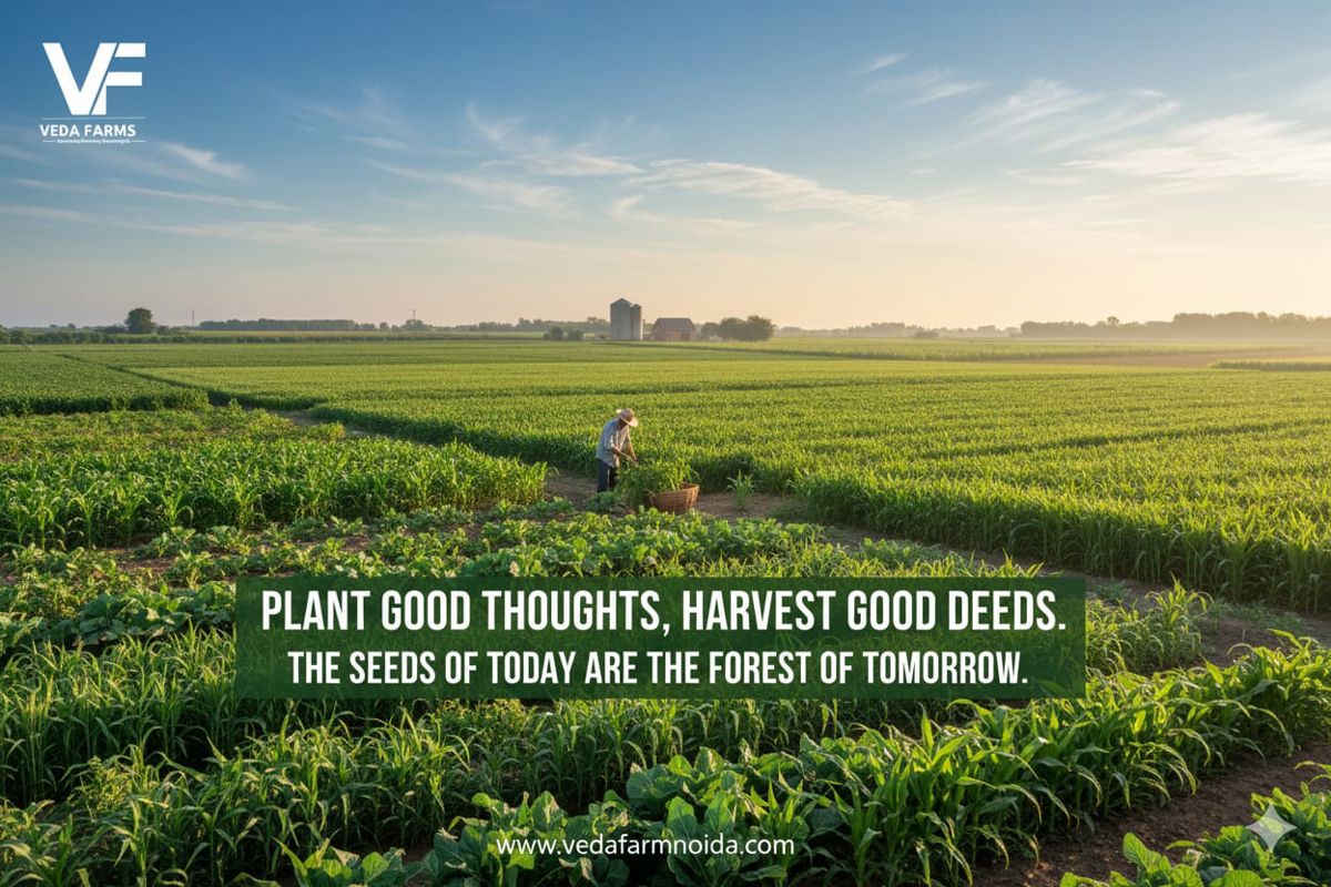 Plot For Sale in Knowledge Park II Greater Noida
