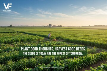  Plot For Sale in Knowledge Park Ii Greater Noida