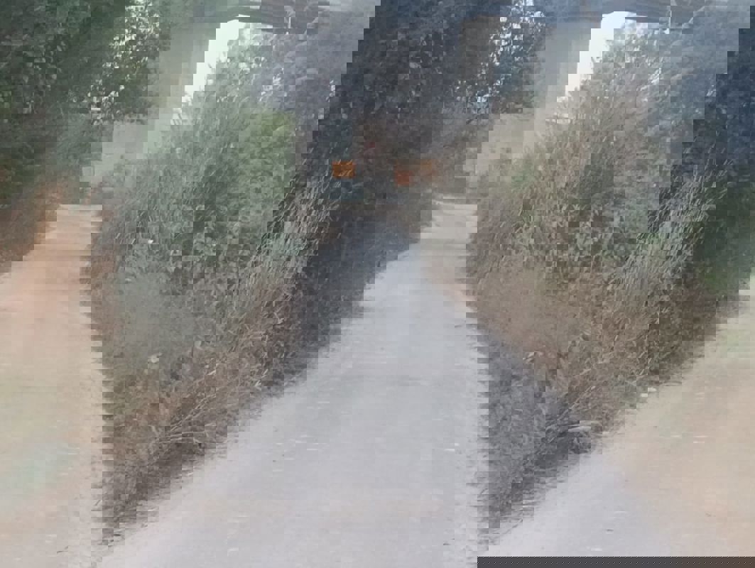 Plot For Sale in Naubasta Kala