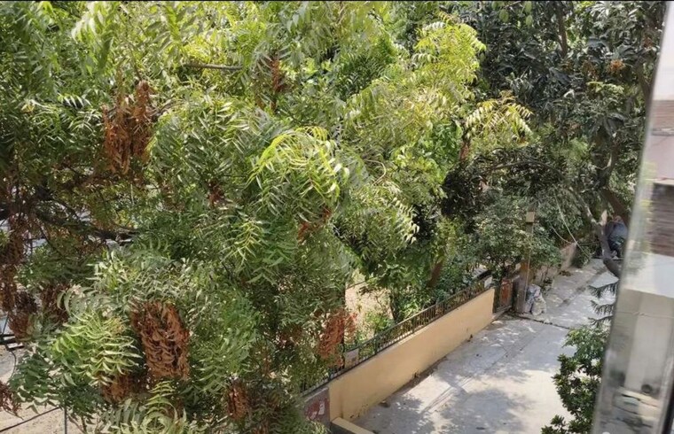 Garden, buddhi vihar 2.5 Bedroom 40 Sq.Mt. Independent House In Buddhi Vihar Moradabad 9826142