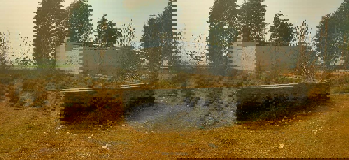 Plot For Sale in Sector 88