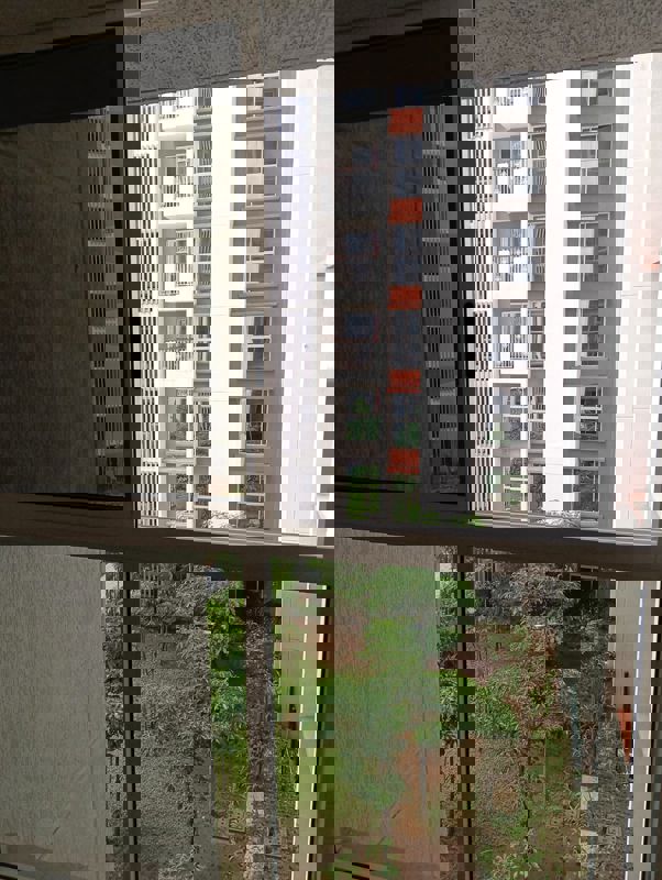 1 BHK Apartment For Rent in Lodha Codename Premier