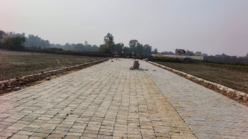 Plot Area in  Plot at Rohania – for Sale