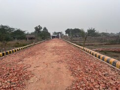 Plot For Sale in Parao