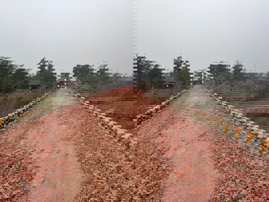 Plot For Sale in Parao