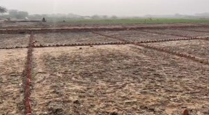 Plot Area in  Plot at Sohna – for Sale