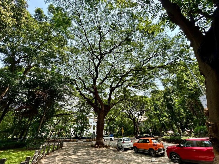 Garden, godrej-five-gardens 3 Bedroom 2244 Sq.Ft. Apartment In Matunga East Mumbai 9827752