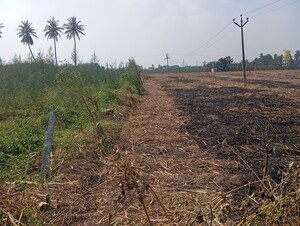  Land For Rent in Panruti