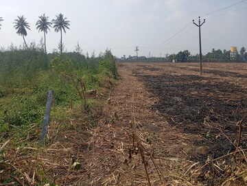 Plot Area in  Land at Panruti – for Rent