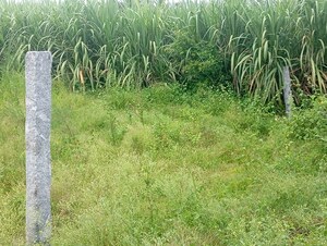 Plot Area in  Land at Panruti – for Rent