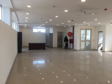  Showroom For Rent in Defence Colony