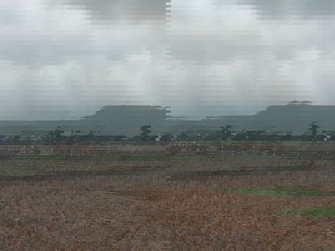 Plot For Sale in Gosainganj