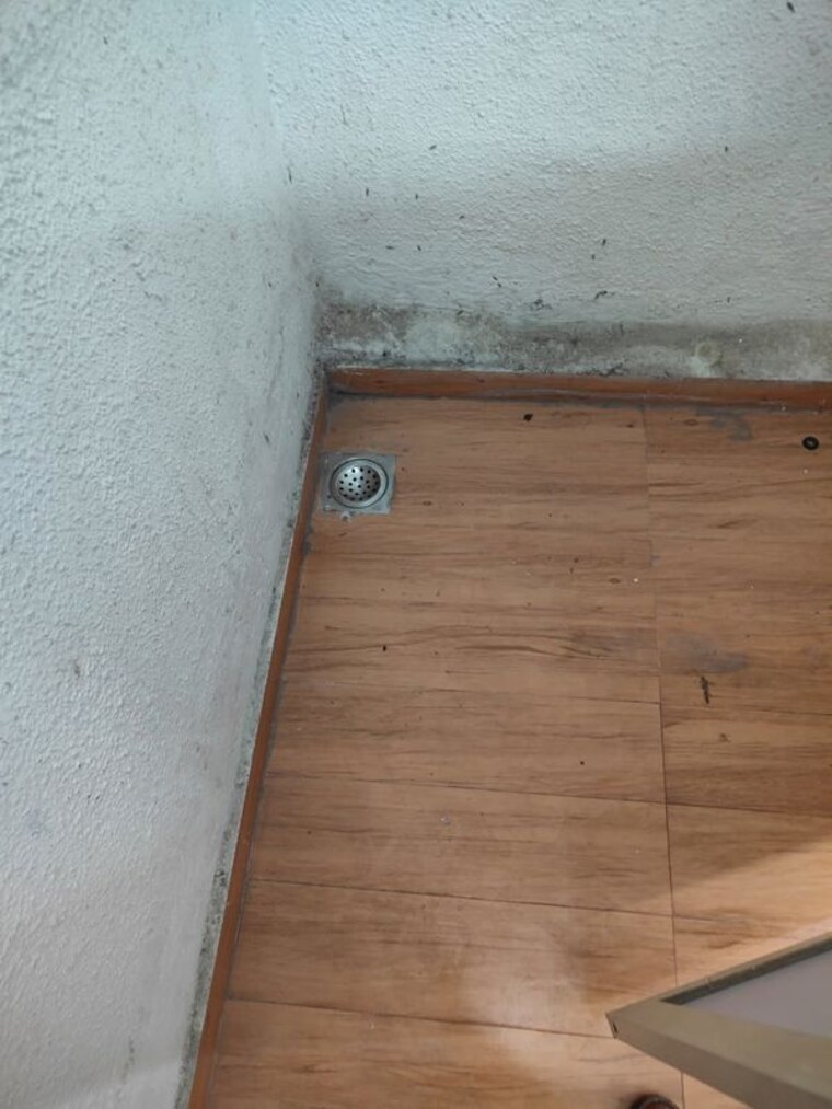 Room, nahar-jonquille-and-jamaica 2 Bedroom 978 Sq.Ft. Apartment In Chandivali Mumbai 9828382