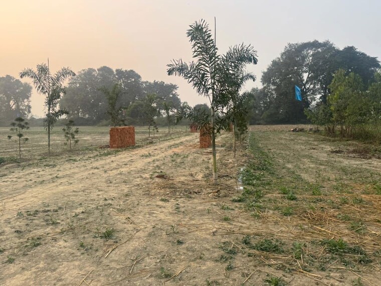 undefined, sultanpur road  1185 Sq.Ft. Plot In Sultanpur Road Lucknow 9829482