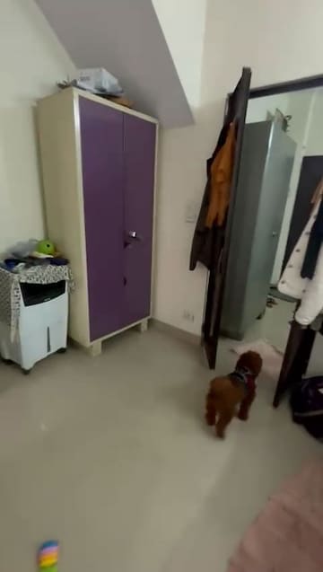 1 BHK Builder Floor For Rent in Lajpat Nagar 4