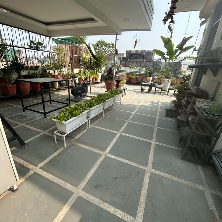 Balcony, south extension i 1 Bedroom 200 Sq.Ft. Builder Floor In South Extension I Delhi 9829697