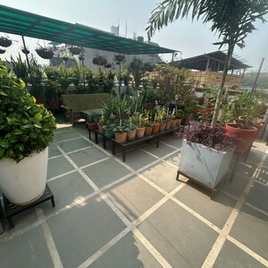 Balcony in 1 BHK Builder Floor at South Extension I – for Rent