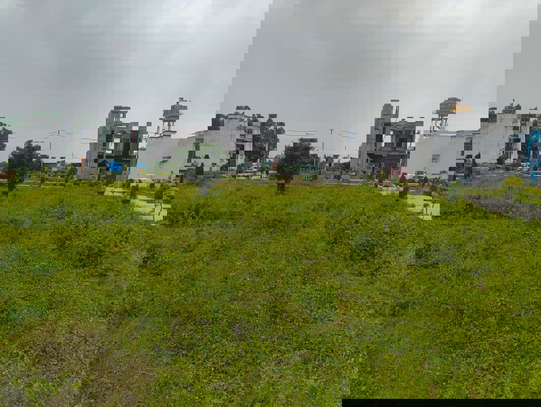 Plot For Sale in Kesar Bagh