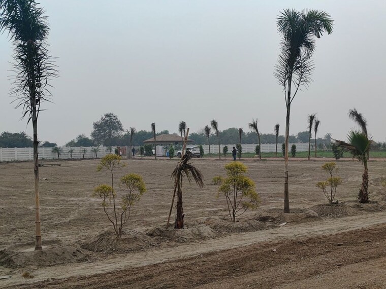 undefined, yeida-plots  120 Sq.Mt. Plot In Dankaur Greater Noida 9829902