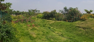 Plot Area in  Plot at SKH Echium, Whitefield – for Sale