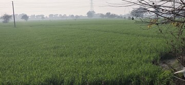 Plot Area in  Land at Jewar – for Sale