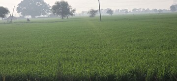  Land – Garden View at Jewar - for Sale