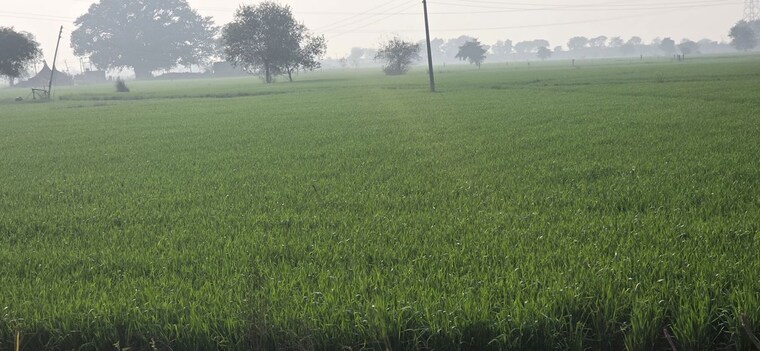 Garden, jewar Commercial Land 6048 Sq.Yd. In Jewar Greater Noida 9830212