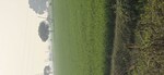 6048 Sq.Yd. Land in Jewar