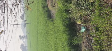  Land – Garden View at Jewar - for Sale