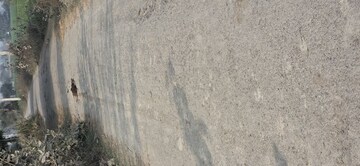 Plot Area in  Land at Jewar – for Sale