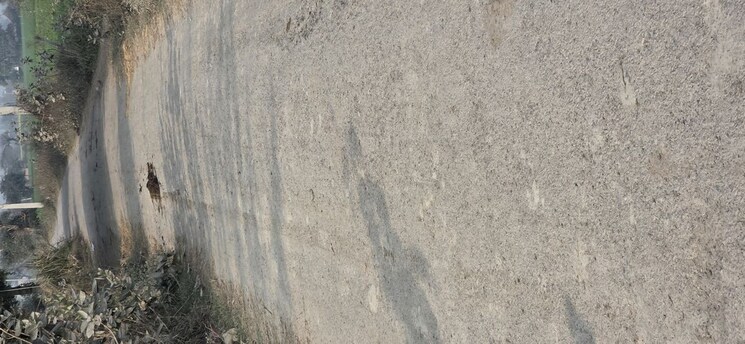 undefined, jewar Commercial Land 6048 Sq.Yd. In Jewar Greater Noida 9830212