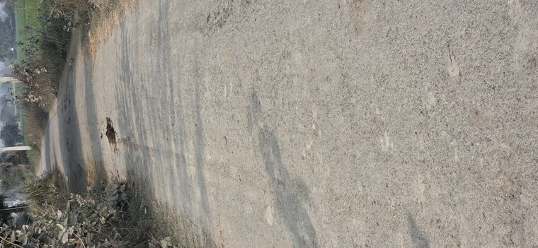 undefined, jewar Commercial Land 6048 Sq.Yd. In Jewar Greater Noida 9830212