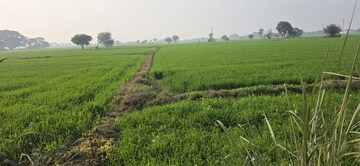 Plot Area in  Land at Jewar – for Sale