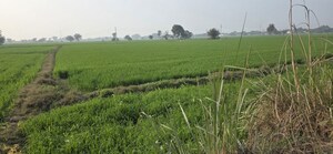 Plot Area in  Land at Jewar – for Sale