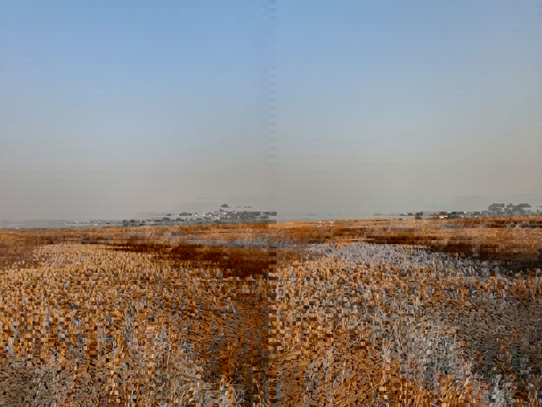 Plot For Sale in KSK Patel Jewel