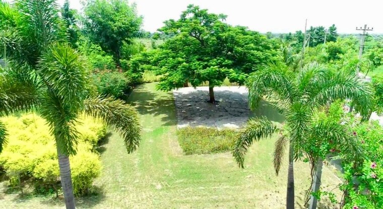 Garden, hoskote  1200 Sq.Ft. Plot In Hoskote Bangalore 9830266