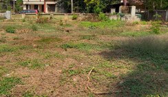 Plot For Sale in Kuriachira