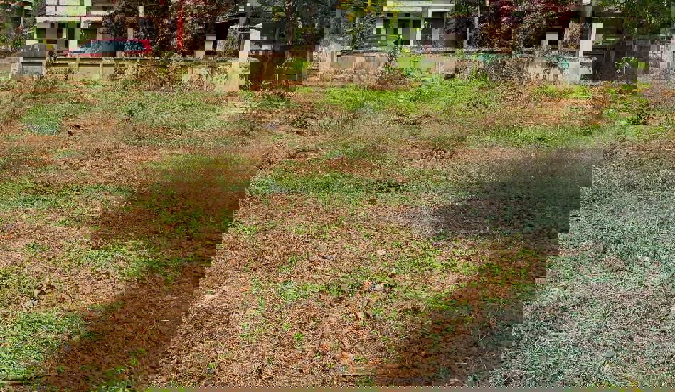 Plot For Sale in Kuriachira