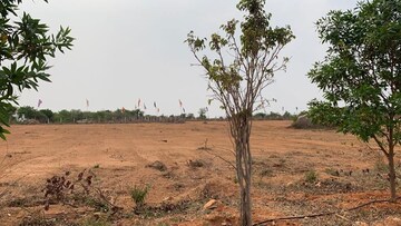 Plot Area in  Plot at Narayanguda – for Sale