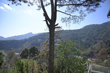  Showroom – Garden View at Kumarhatti - for Rent