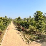 150 Sq.Yd. Plot in Behat Road