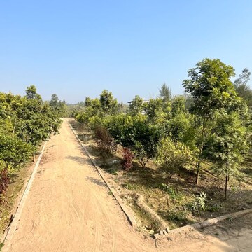 Plot Area in  Plot at Behat Road – for Sale