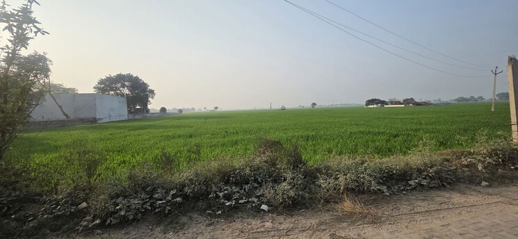 undefined, jewar Commercial Land 16632 Sq.Yd. In Jewar Greater Noida 9830818