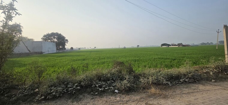 undefined, jewar Commercial Land 16632 Sq.Yd. In Jewar Greater Noida 9830818