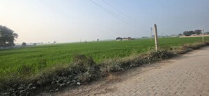  Land For Sale in Jewar