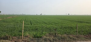 Plot Area in  Land at Jewar – for Sale