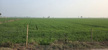 Plot Area in  Land at Jewar – for Sale