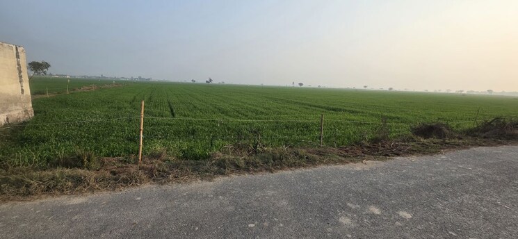 undefined, jewar Commercial Land 22176 Sq.Yd. In Jewar Greater Noida 9831069